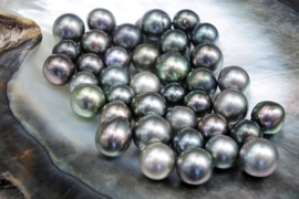 excellent-round-tahitian-black-pearls