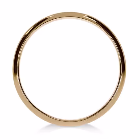 BASIO Band Ring in Gold, 2.00 mm Width